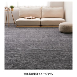 ペットにやさしい平織カーペット ラウム 江戸間3畳 176×261 ブラック