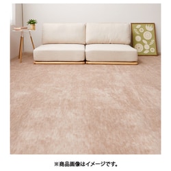 ペットにやさしい平織カーペット ラウム 本間2畳 191×191 ベージュ