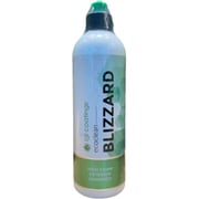 ecoclean BLIZZARD (フォームガン専用プレウォッシュシャンプー) 500ml FG000283