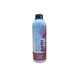 ecoclean DASH （コーティング剤） 500ml FG000026