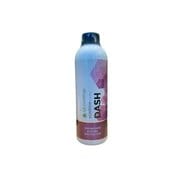 ecoclean DASH (コーティング剤) 500ml FG000026
