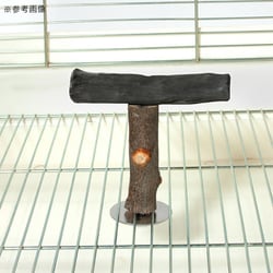 備長炭止まり木作成します。 新・備長炭止まり木作成します。