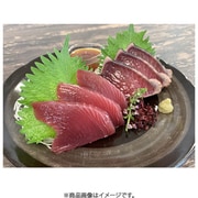 3890094 [静岡 一本釣り鰹尽くし]