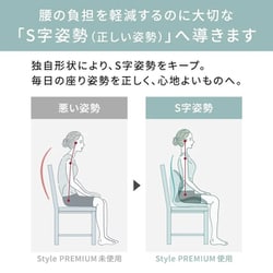 ルミさま専用Style スタイルプレミアム 新色グレー 新品未使用