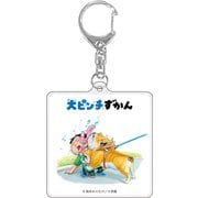 376812002 [限定 大ピンチずかん アクリルキーホルダー B]