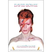 120-016 ALADDIN SANE [ジグソーパズル 120ピース（完成サイズ：10×14.7cm）]