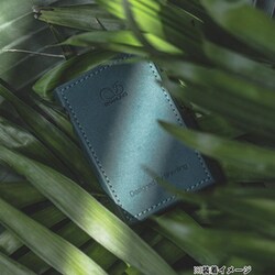 SHANLING M1Plus ,専用ケース付 81E82HH8ffL._AC_UL210_SR210,