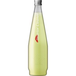 Interior Cleaner（インテリア クリーナー） 内装用クリーナー 410ml KL-006