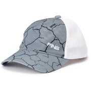 621-5187301-020-FR [ゴルフ メンズ 25SS 総柄プリントキャップ FRサイズ グレー]