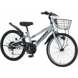 Amazon.co.jp: Flyer™ 20インチ 子供用自転車、グレー 幼児と