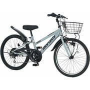 子供用自転車 20インチ 外装6段変速 エキサイター スチールグレー EX206R