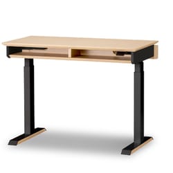FIT IN DESK（フィットインデスク） Famio（ファミオ） 電動昇降デスク 電動スタンディングデスク デスク幅100cm 学習机 勉強机 ミルキーオーク ブラック色 ナチュラル色 FDD-898MOBK