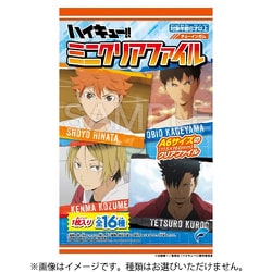 ヨドバシ.com - フォルテ ハイキュー！！ ミニクリアファイル 1