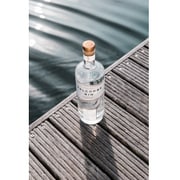 サルコムジン スタートポイント 44度 500ml [ジン]
