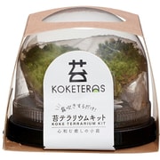 コケテラス 苔テラリウムキット