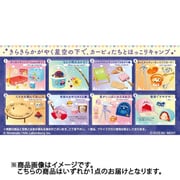 星のカービィ きらきら星空キャンプ 1個 [コレクショントイ]