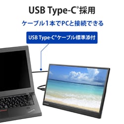 I-O DATA ディスプレイ本体　14インチ LCD-YC141DXシリーズ | 14型フルHD対応モバイルディスプレイ