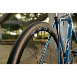 ALXERIMS RXD2 アレックスリム ディスク＆アジリスト付き ALXERIMS RXD2 アレックスリム ディスク＆アジリスト付き 楽天