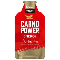 カルノパワー ENERGY GINGER ALE Flavor（ジンジャーエール味）40g
