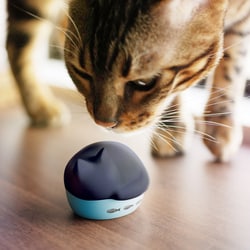 ヨドバシ.com - ラディウス radius 完全ワイヤレスイヤホン NEKO