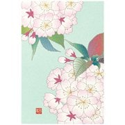 限定 ポストカード768 鞠桜柄 88768006