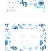 今日のお手紙レターセット 月明かりの花 LLL387