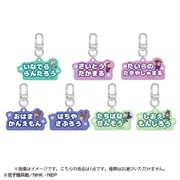 NR-KH201 忍たま乱太郎 アルミキーホルダーコレクション ねーむシリーズ 壱の段 1個 [コレクショントイ]