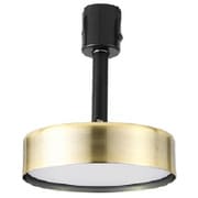 LED1灯ペンダントライト Rumani ( ルマーニ ) シリーズ ダクトレール専用 簡単取り付け ゴールド ADU-155GL