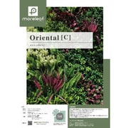モアリーフ ML-O-C orientalC 4枚セット ML-O-C