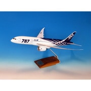 NH00124 1/100 完成品 787-8 JA801A 特別塗装 ギア無 木製台座・プレート付 [塗装済完成品モデル]
