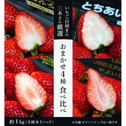 いちご目利きの三木さん厳選！『おまかせ4種食べ比べ』いちご 計4パック（1パック 約250g） ※冷蔵 [ご注文期間は2025年3月27日（木）まで]