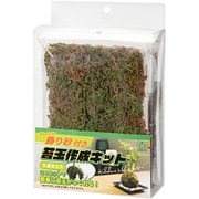 J.GREEN 苔玉作成キット