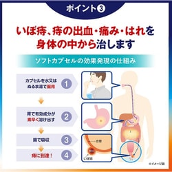 Amazon | 【第2類医薬品】プリザ Gカプセル 24カプセル | プリザ