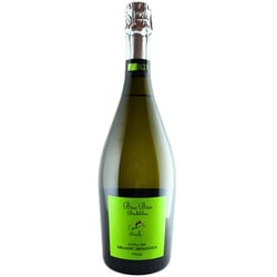 ビオビオスプマンテ スパークリング 750ml イタリア/プーリア州 [スパークリングワイン]