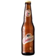 カサブランカビール 5度 330ml
