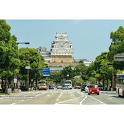 300-423 シリーズ・日本の都市67 兵庫県姫路市「大手前通りから見る姫路城」 [ジグソーパズル 300ピース]