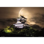 300-136 日本風景 月夜の岐阜城 [ジグソーパズル 300ピース]