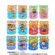 パウ・パトロール フェイスチョコレートスタンドパック 15g