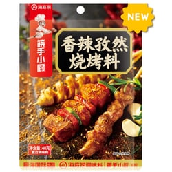 頤海日本 海底撈 スパイシークミンBBQ中華調味料 40g