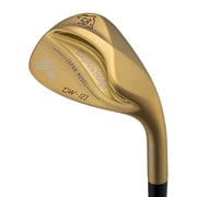 DOLPHIN WEDGE DW-123 Gold True Temper DynamicGold95（スチール）（S200） ロフト角58° 2024年モデル [ゴルフ ウェッジ]