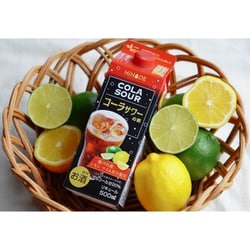 ヨドバシ.com - キング醸造 HiNODE コーラサワーの素 20度 500ml