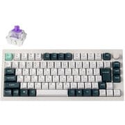 Q1 HE マグネットスイッチ搭載 QMKワイヤレス・カスタムメカニカルキーボード RGB JIS配列(テンキーレス)シェルホワイト Gateron ダブルレール・マグネティックスイッチ Nebula Q1H-P1-JIS