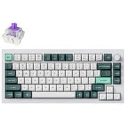 Q1 HE マグネットスイッチ搭載 QMKワイヤレス・カスタムメカニカルキーボード RGB US配列(テンキーレス)シェルホワイト Gateron ダブルレール・マグネティックスイッチ Nebula Q1H-P1-US