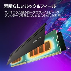 ヨドバシ.com - crucial クルーシャル Crucial Pro 32GB Kit