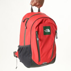 tnf33k4699.jpg