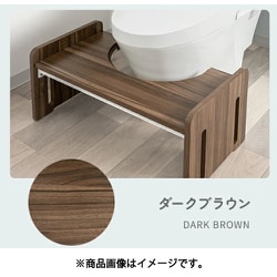zg002-2-dbr [トイレステップ]