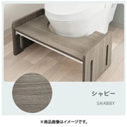 zg002-2-sb [トイレステップ]