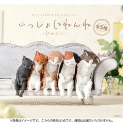 いっしょにねんね にゃんこ 1個 [コレクショントイ]
