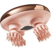 ミニヘッドケアブラシ PK PPM1301PK