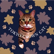 TOKYO CROWN CAT ショコラ 9個
